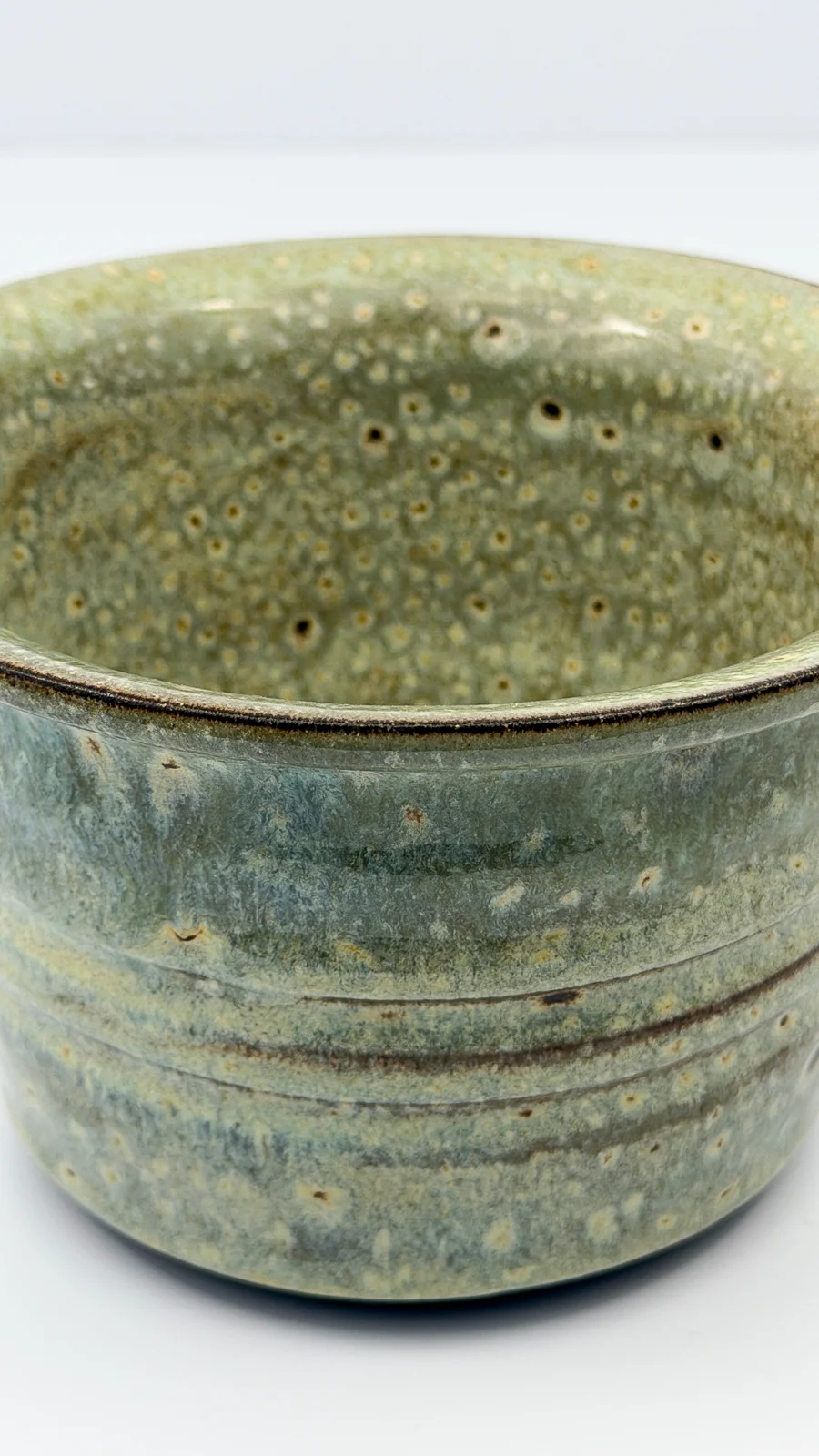 mtvessell_pottery_botanical_11-3 mtvessell_pottery_botanical_11-3