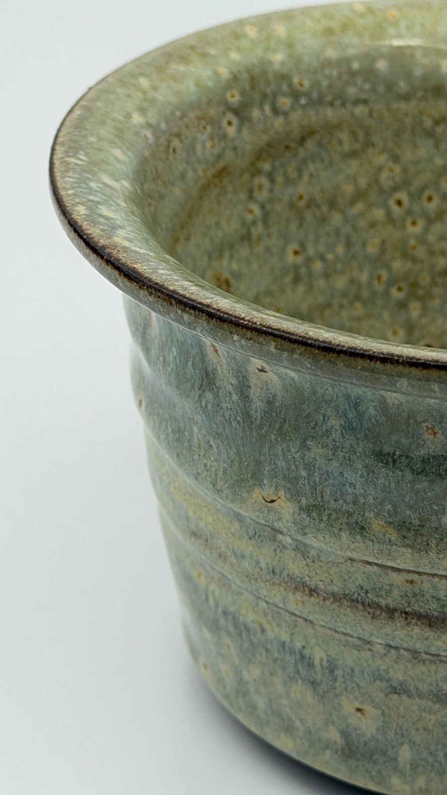 mtvessell_pottery_botanical_11-5 mtvessell_pottery_botanical_11-5