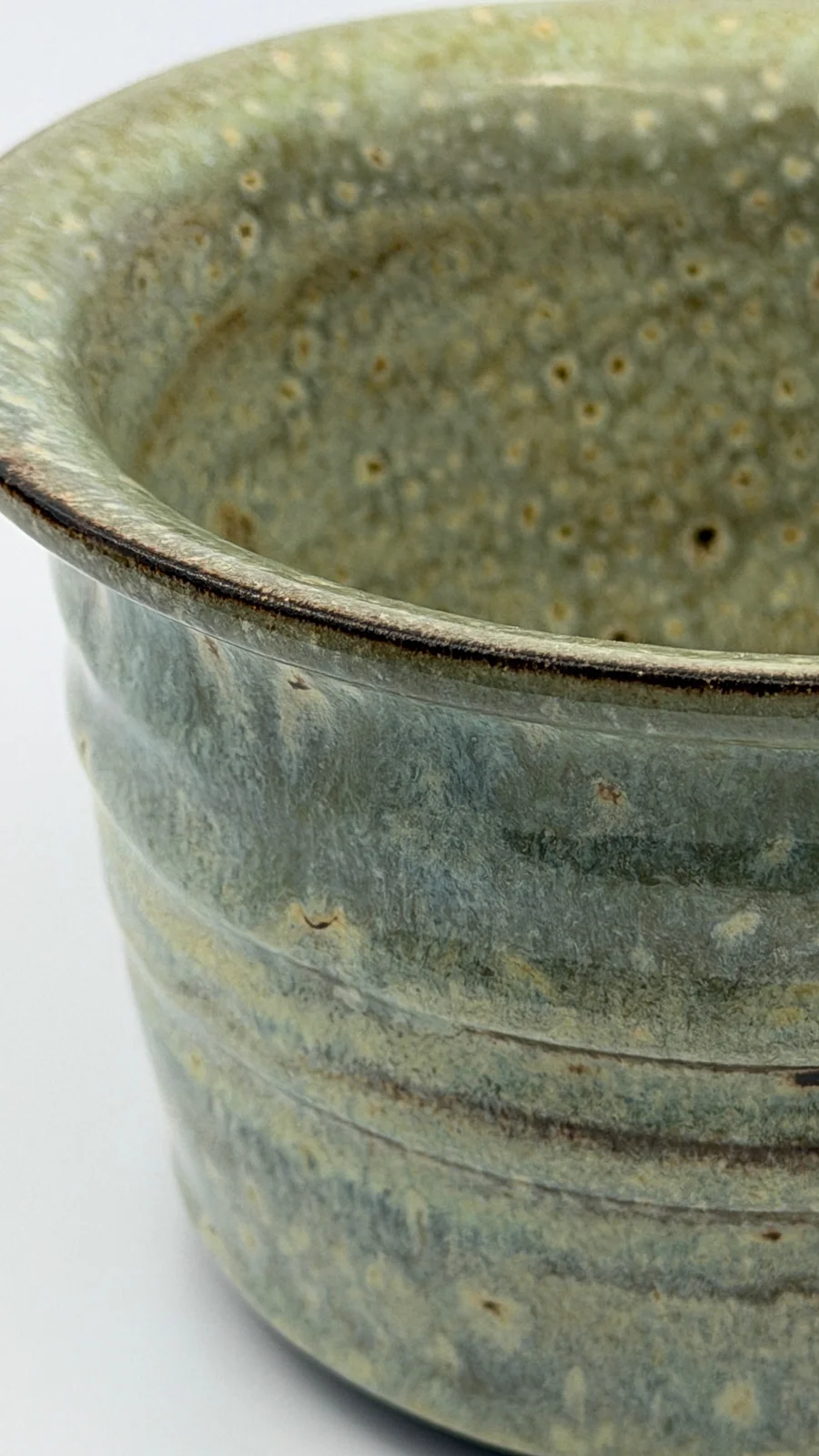 mtvessell_pottery_botanical_11-6 mtvessell_pottery_botanical_11-6