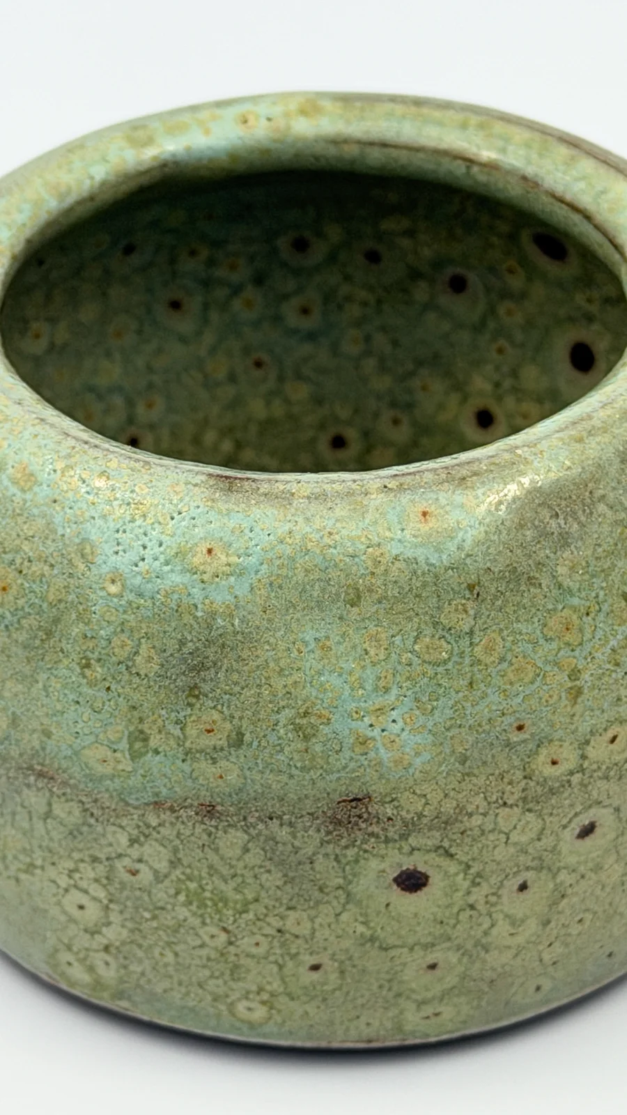 mtvessell_pottery_botanical_17-2 mtvessell_pottery_botanical_17-2