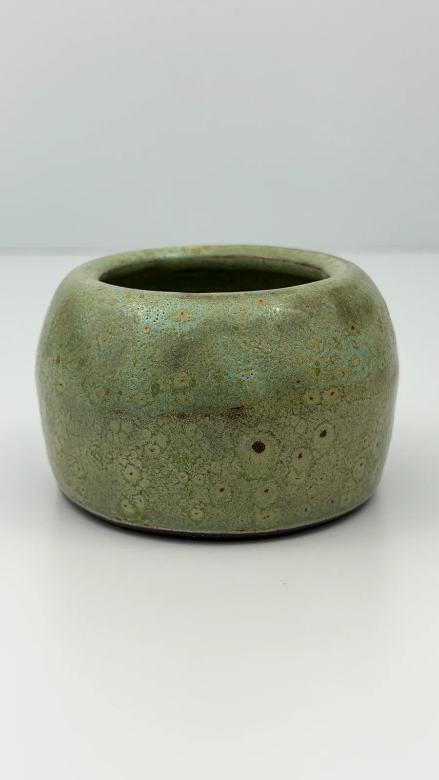 mtvessell_pottery_botanical_17-4 mtvessell_pottery_botanical_17-4