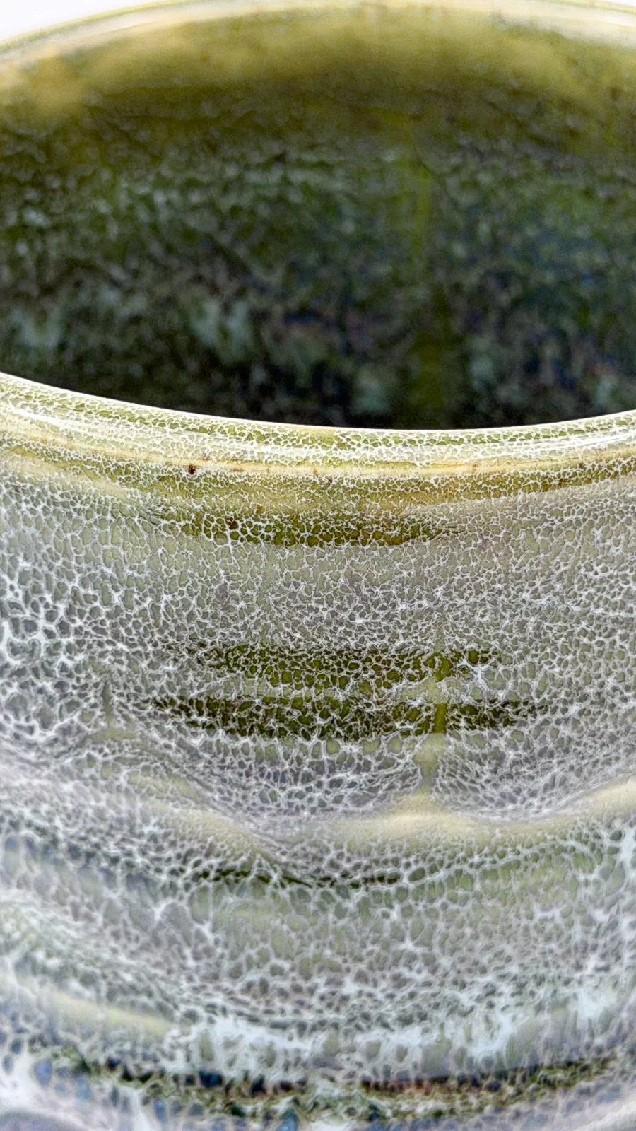 mtvessell_pottery_botanical_2-6 mtvessell_pottery_botanical_2-6
