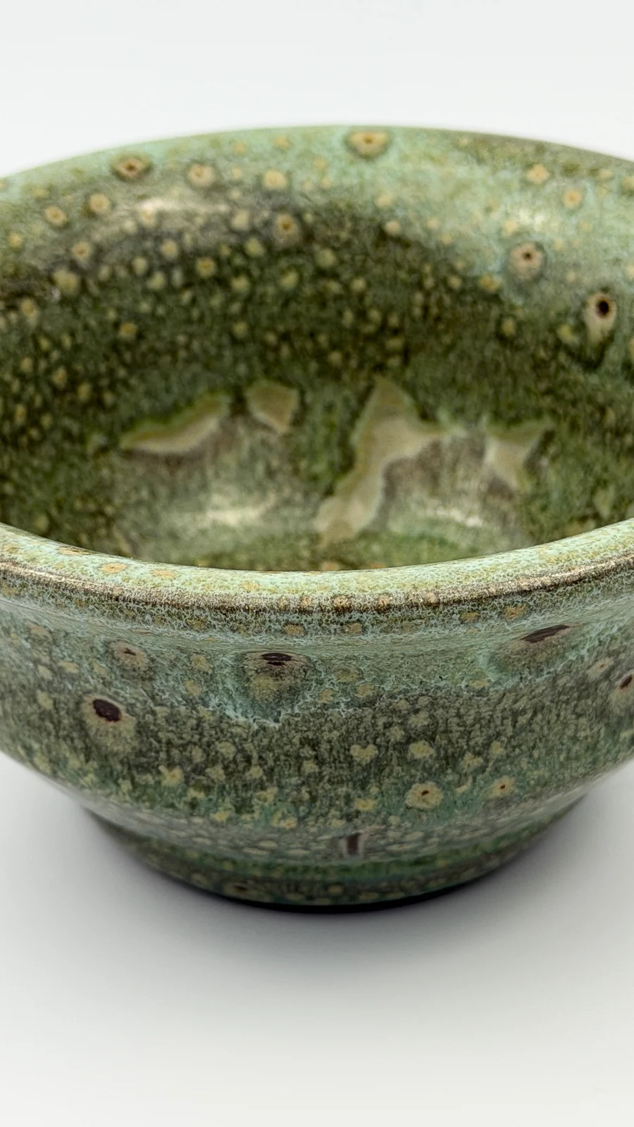 mtvessell_pottery_botanical_6-3 mtvessell_pottery_botanical_6-3