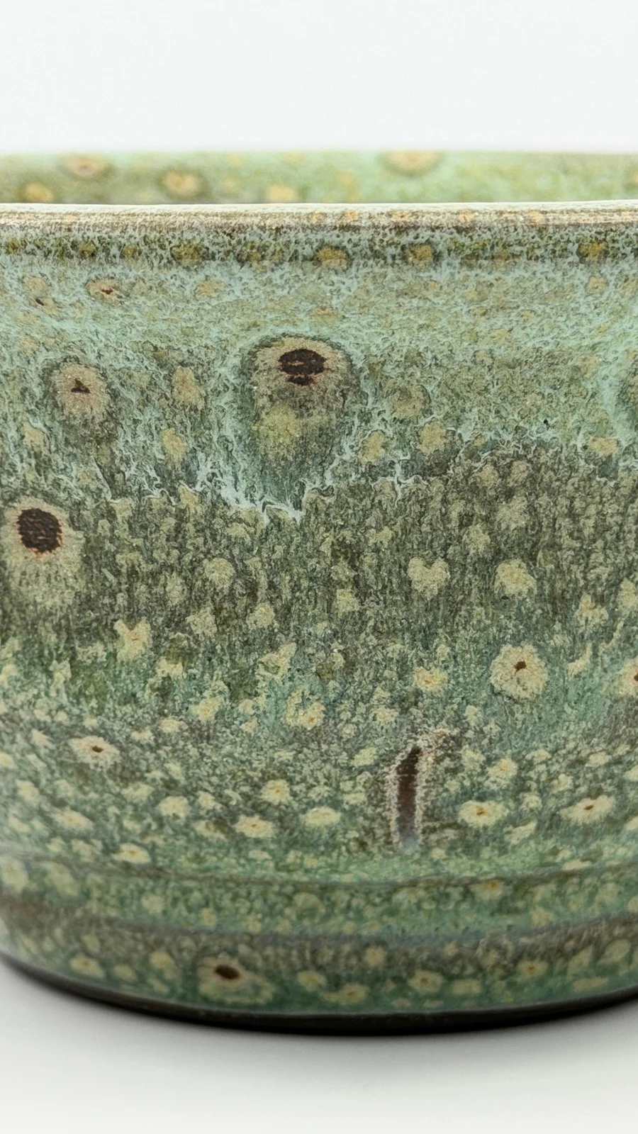 mtvessell_pottery_botanical_7-1 mtvessell_pottery_botanical_7-1