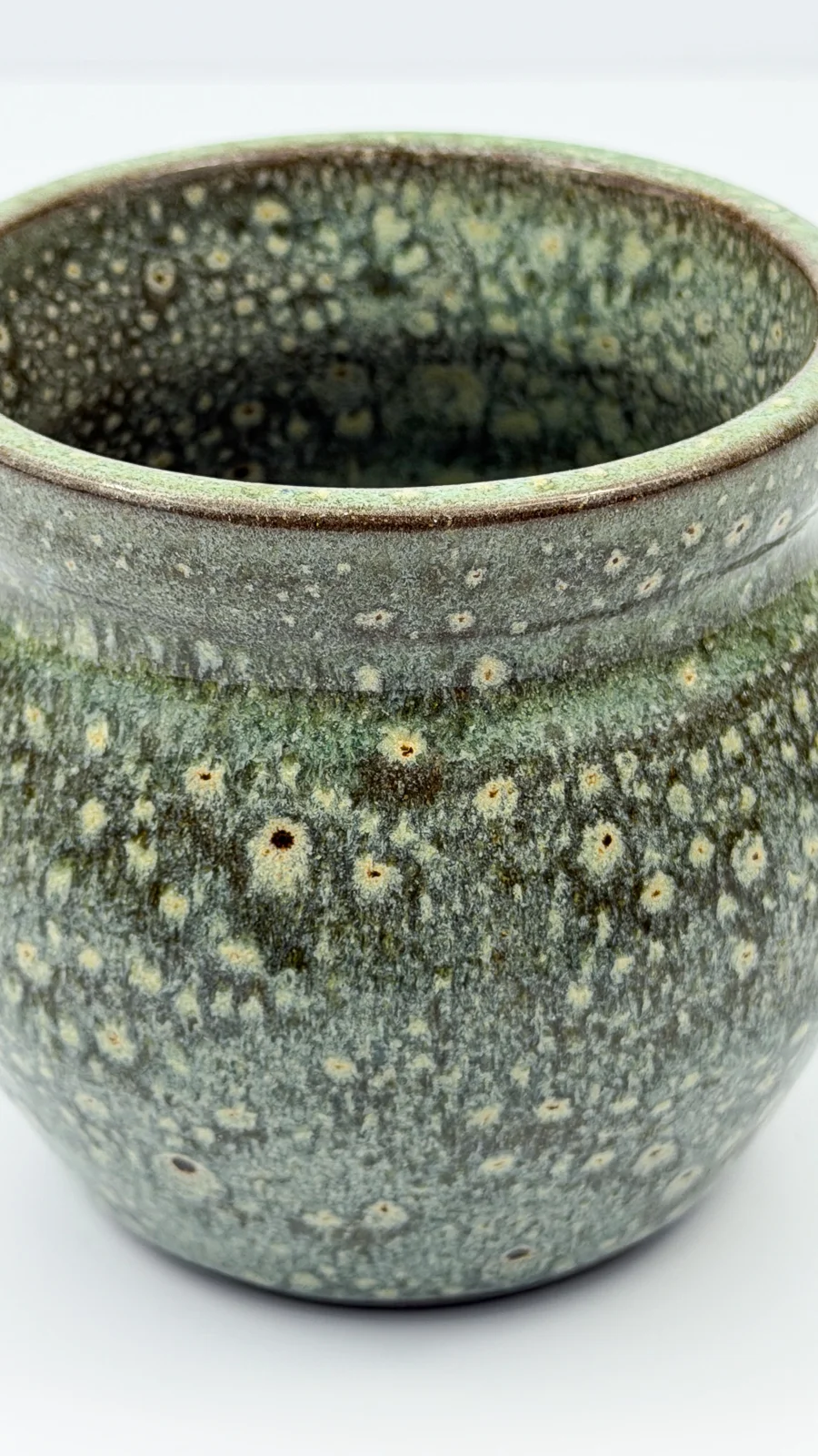 mtvessell_pottery_botanical_9-3 mtvessell_pottery_botanical_9-3
