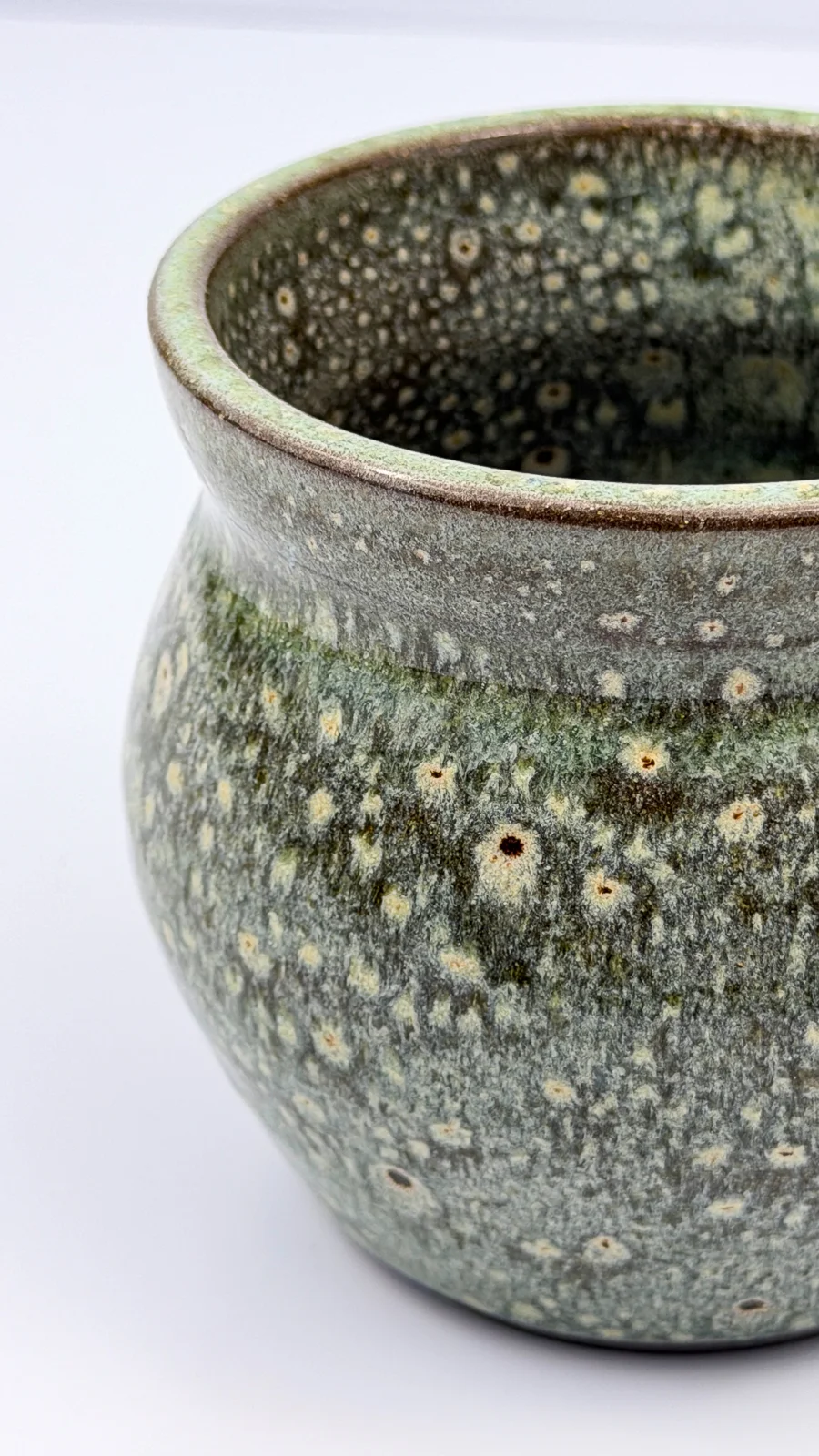 mtvessell_pottery_botanical_9-4 mtvessell_pottery_botanical_9-4